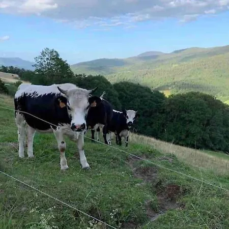 בית נופש La Fromagerie De La Tourelle